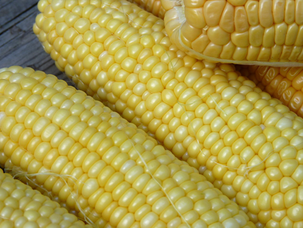 Corn for maque choux